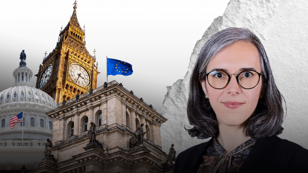 EU Digital Services Act regulatory impact on online platforms