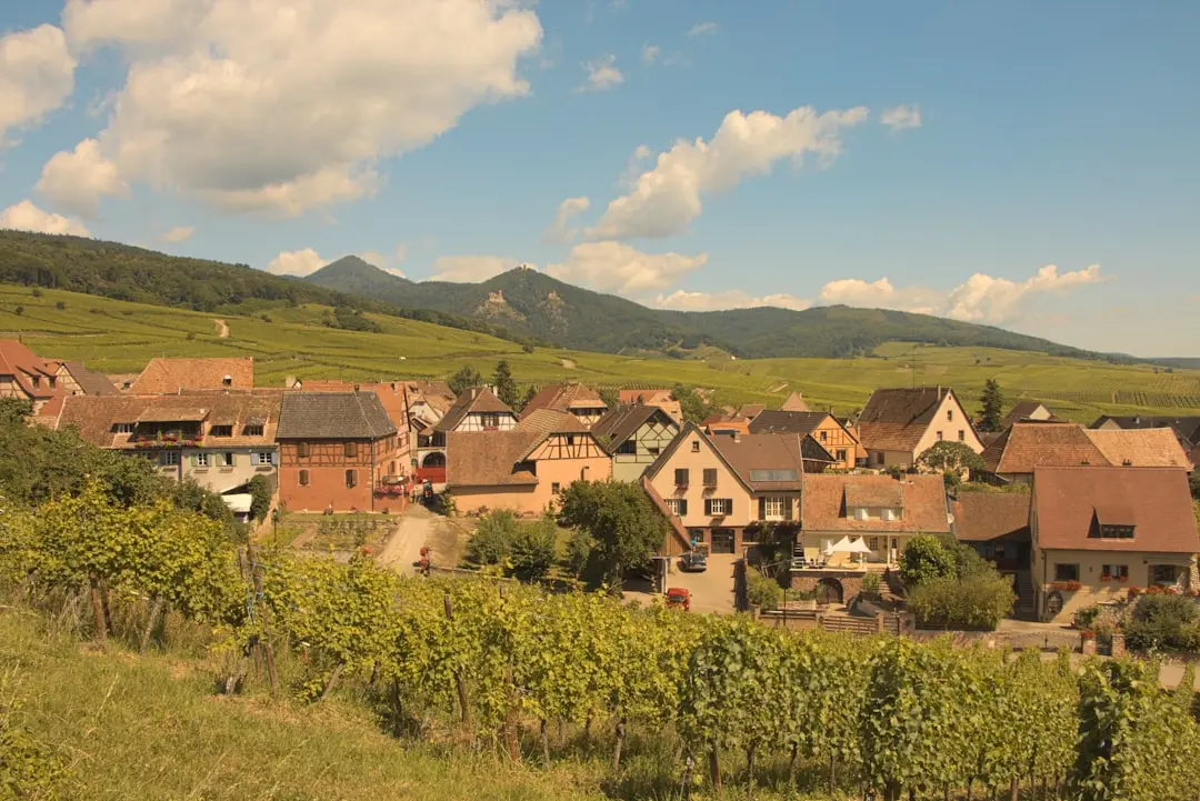 Historic Alsace wine village