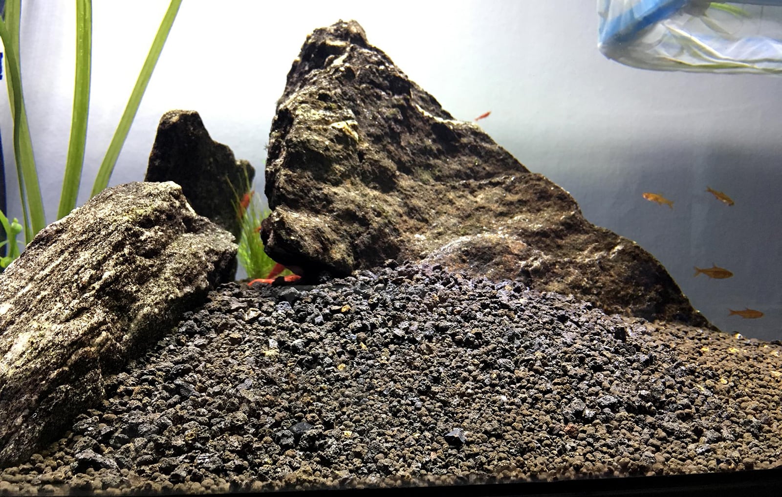 Zoo Med Reptile UVB Fluorescent Light