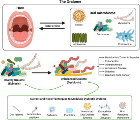 El Oraloma y su disbiosis
