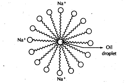 CBSE Class 10 Science Notes Carbon and its Compounds - Electron dot structure diagram