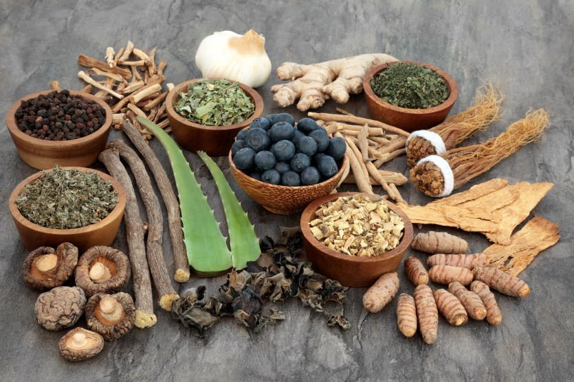 Traditional Chinese medicinal herbs and ingredients