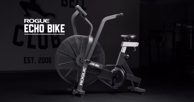 Rogue Echo Bike V3