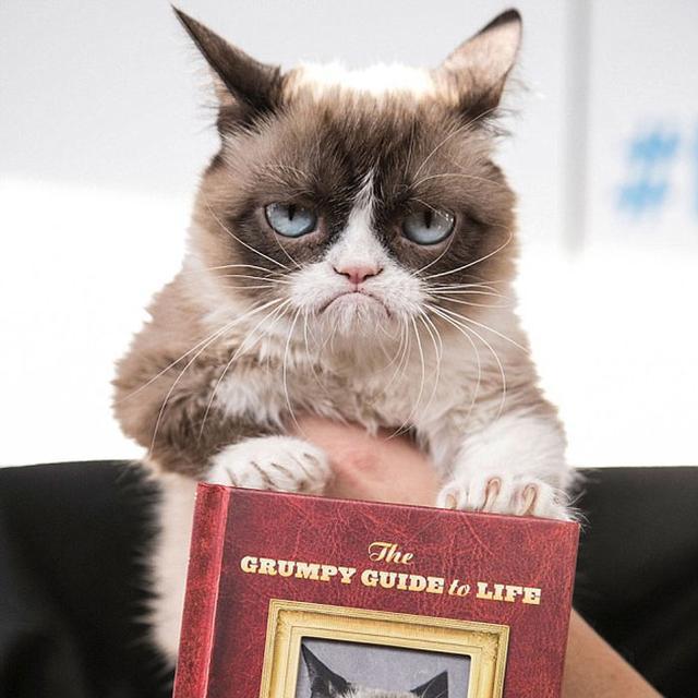 不爽猫的经典表情