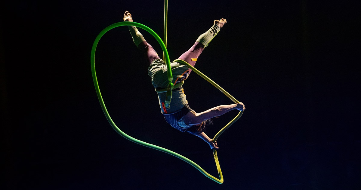 Aerial Hoop Artist