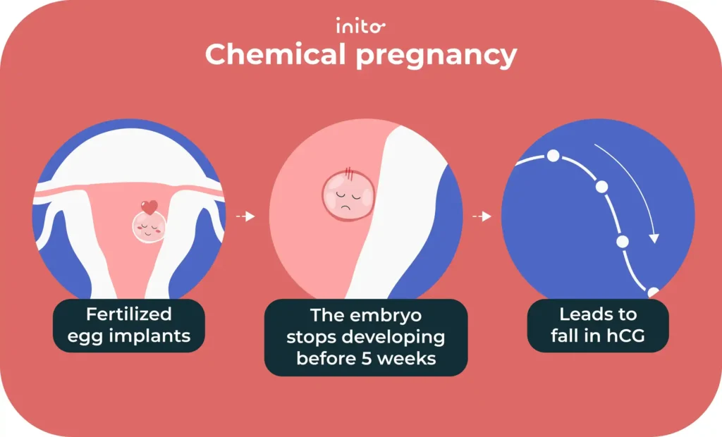 Positive Pregnancy Test Then Negative Next Day? - Inito