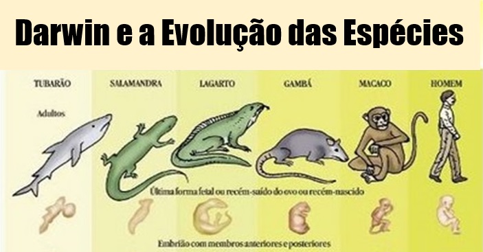 Ilustração sobre a teoria da evolução de Charles Darwin e a seleção natural das espécies