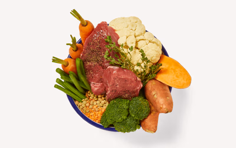 Ingredientes frescos para dieta canina: carne cruda, verduras, legumbres y cereales en bol