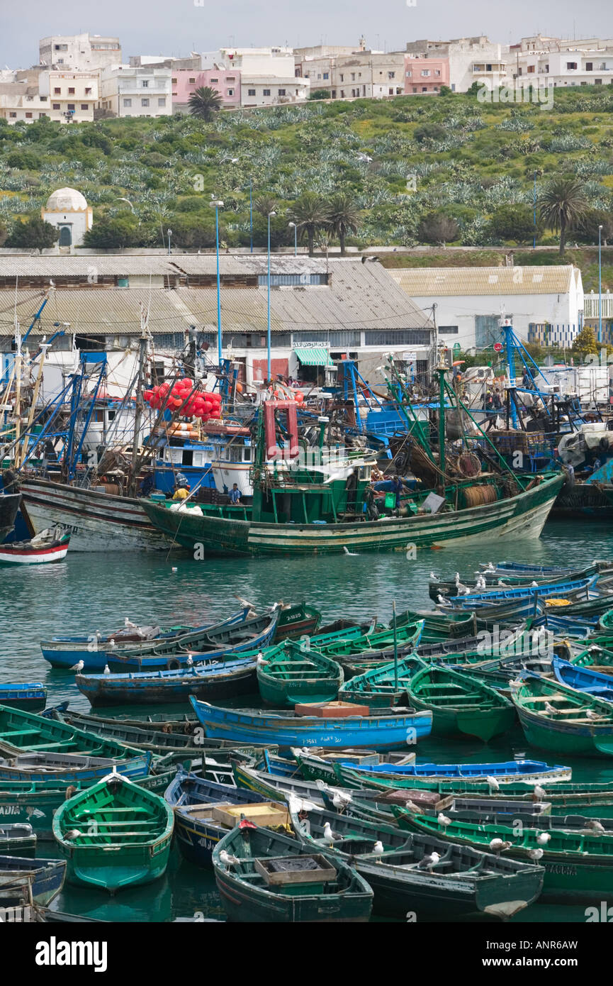 Port de pêche de Safi avec bateaux traditionnels sur la côte atlantique