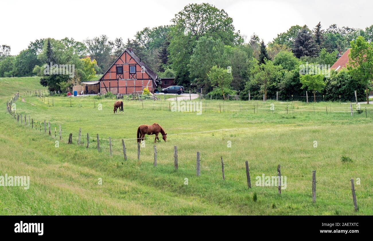 Turniervorbereitung