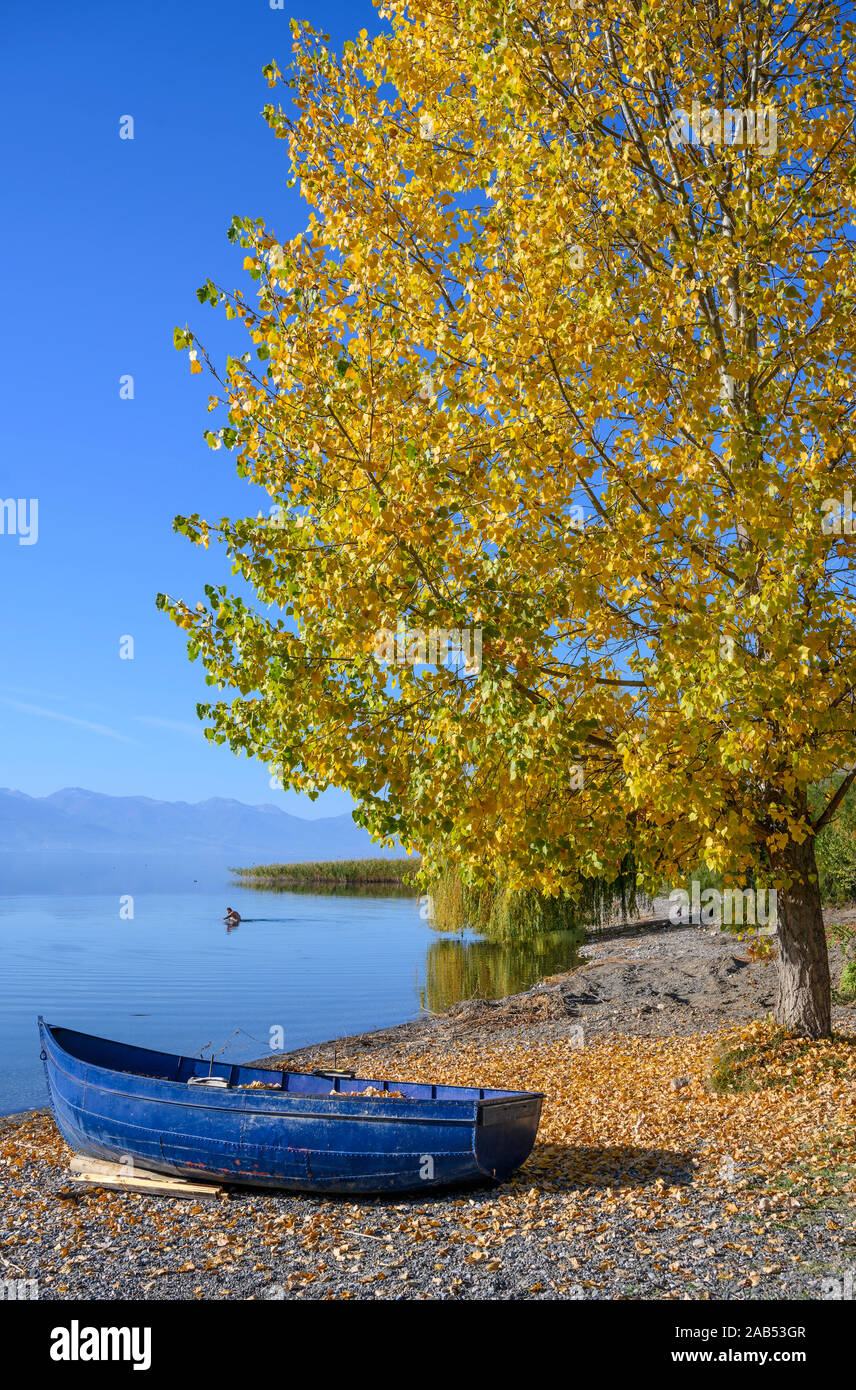 Autumn on Lake Ohrid with golden trees and a blue boat