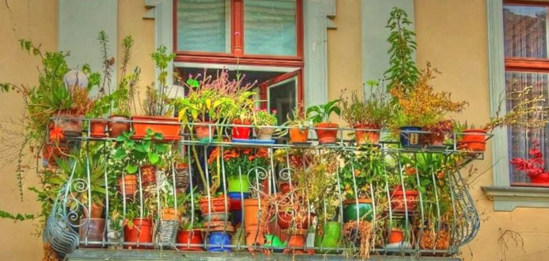 Huerto urbano en balcón con plantas aromáticas y vegetales en macetas