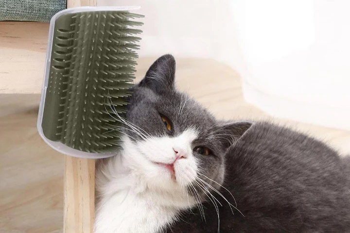 KAV Silicone Dog Finger Toothbrush