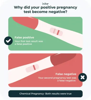 Positive Pregnancy Test Then Negative Next Day? - Inito
