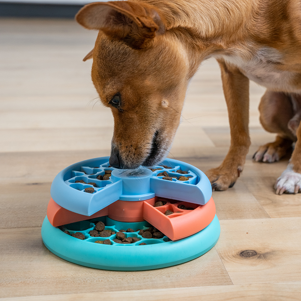Nina Ottosson Puppy Lickin Layers Puzzle