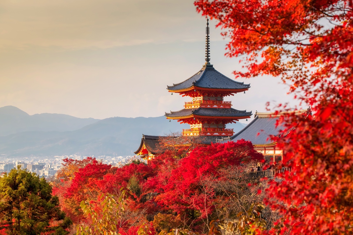 Kyoto Herbstlaub Koyo am Kiyomizu-dera Tempel Wohin reisen im November