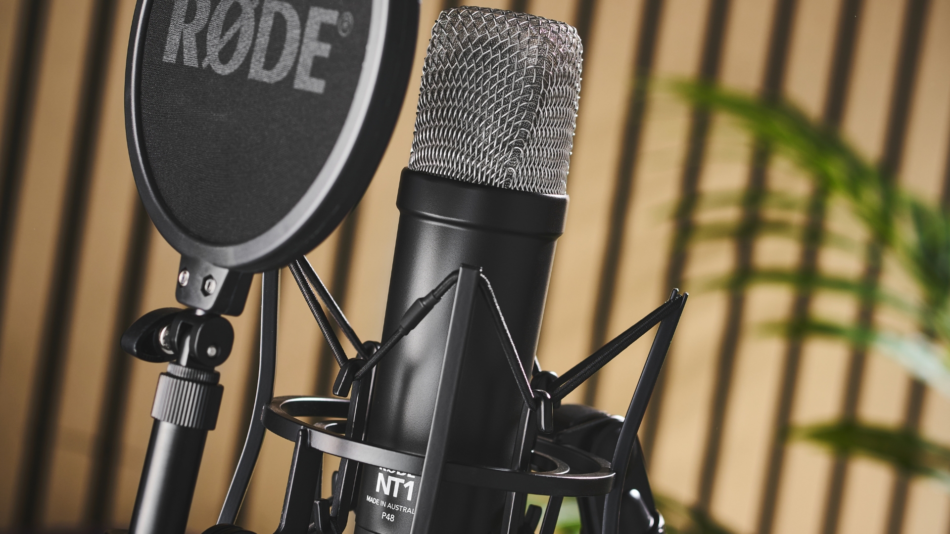 Stage Mics