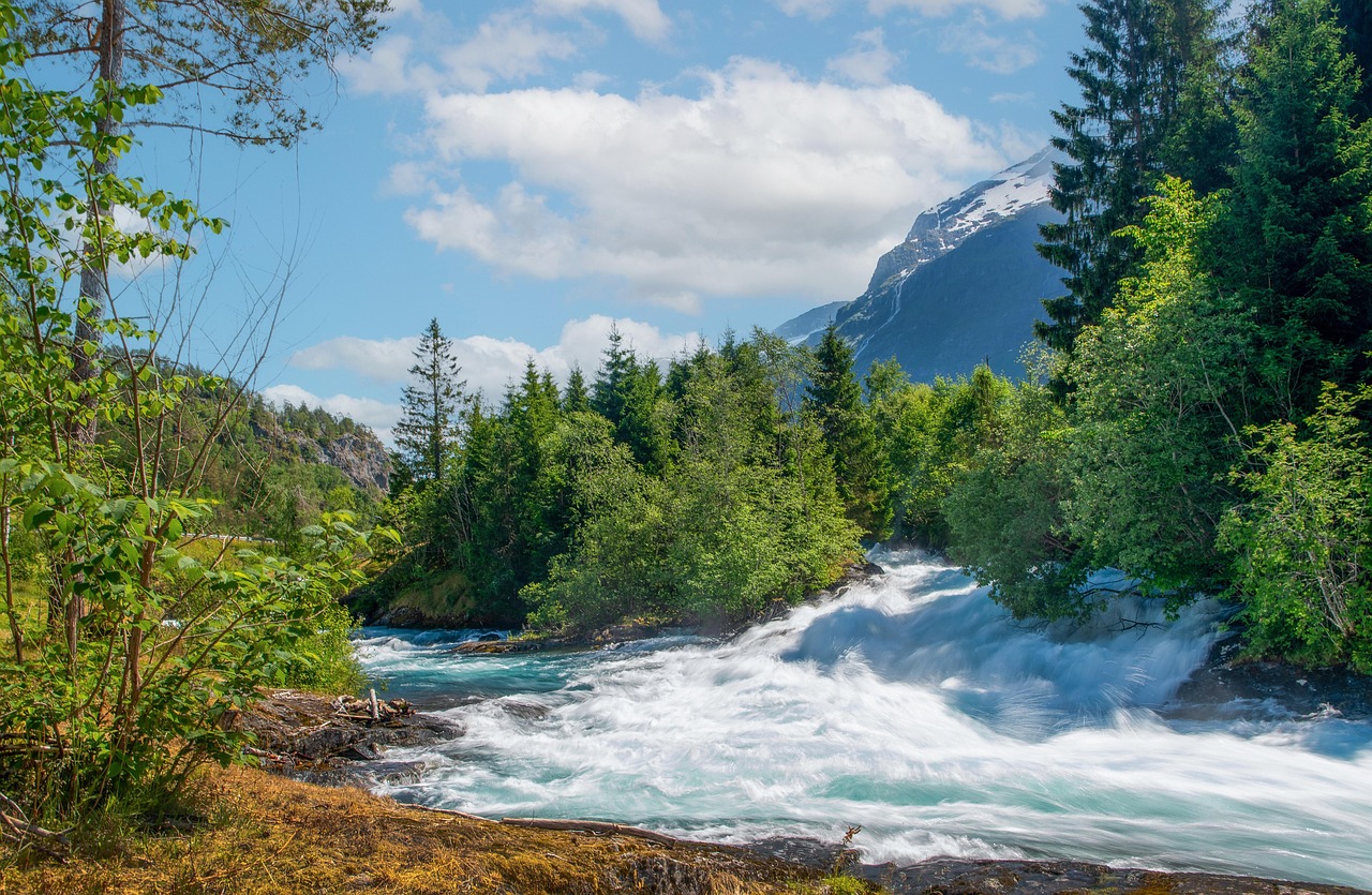 Mountain River Rapids