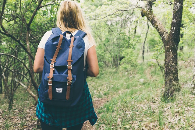 Forest Path Wanderer