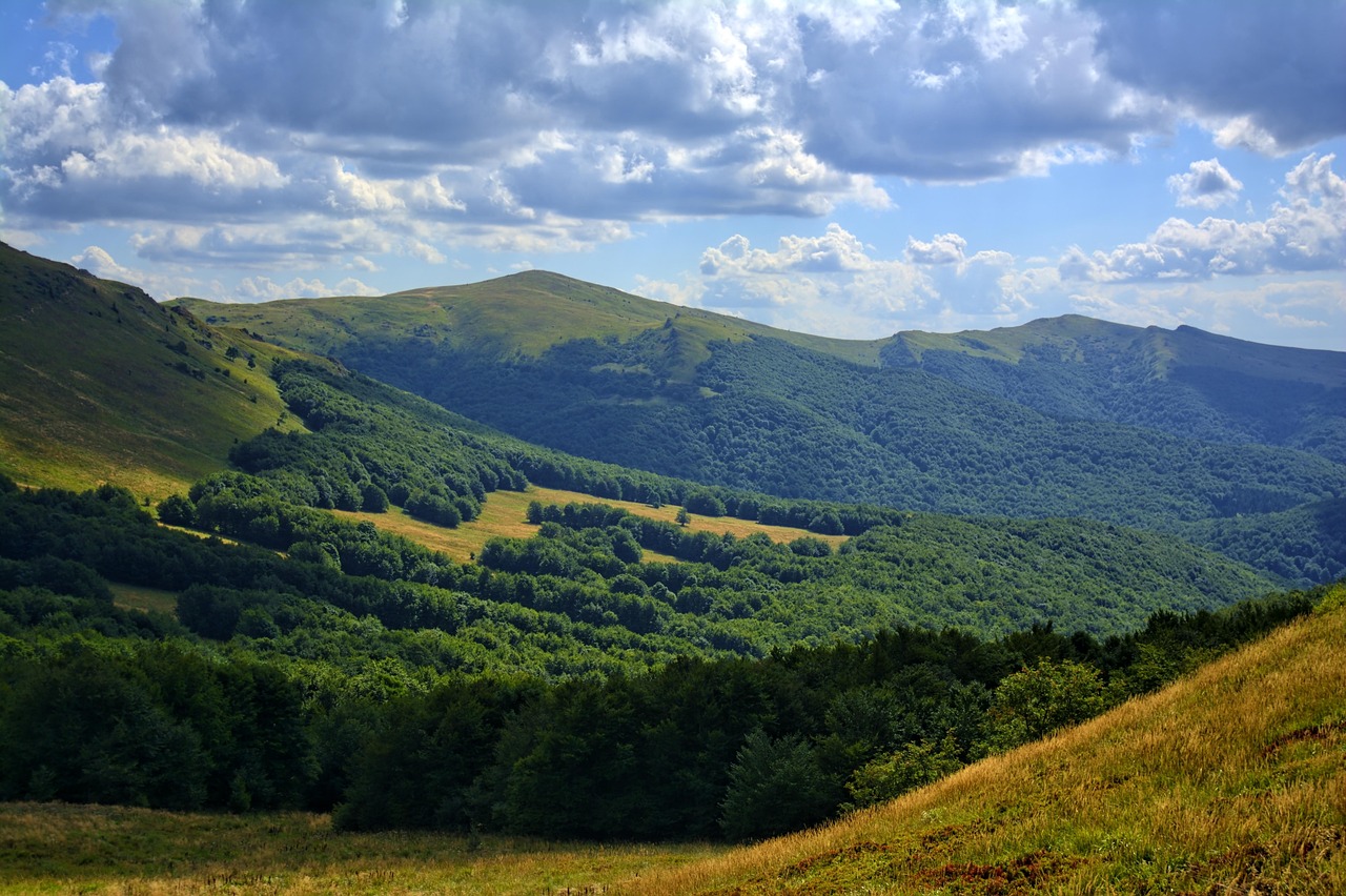 Rolling Hill Terrain A vast expanse of rolling hills covered in lush green forests and golden grasslands, with layered ridges stretching into the distance under a dramatic cloudy sky, showcasing classic continental terrain.