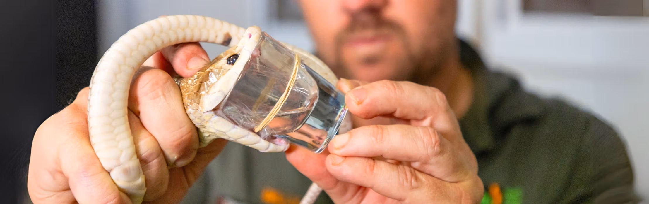 Venom Extraction Laboratory
