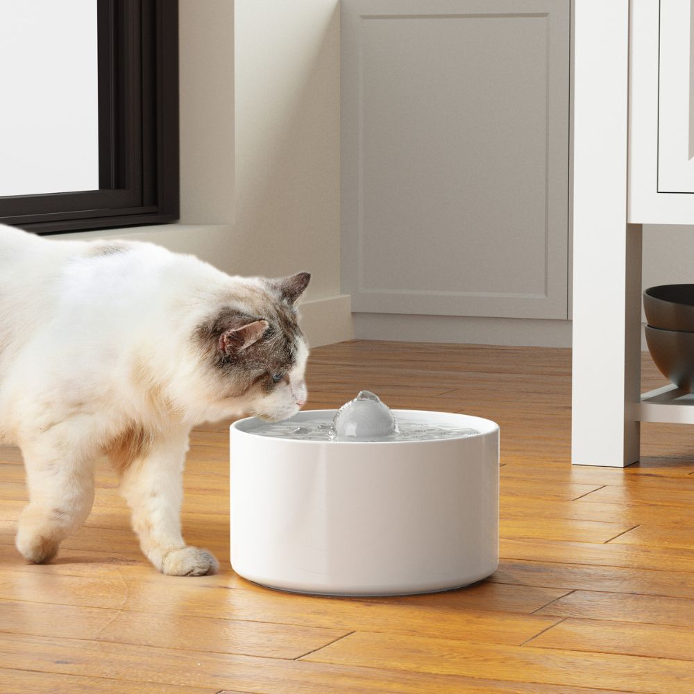 Dr. Elsey's Precious Cat Ultra Clumping Cat Litter 40lb - Variant 3