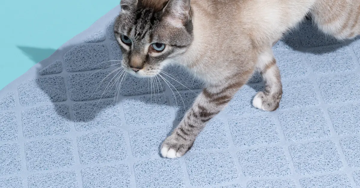 Honeycomb Dual Layer Cat Litter Trapping Mat
