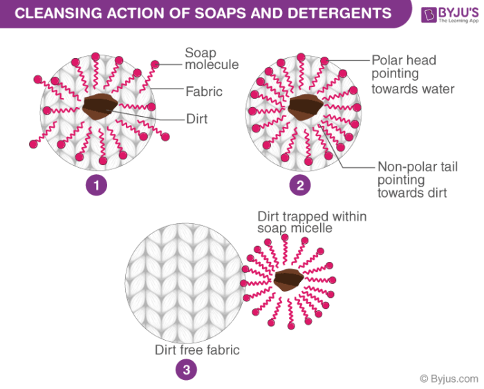 CBSE Class 10 Science Notes Carbon and its Compounds - Soap micelle formation diagram