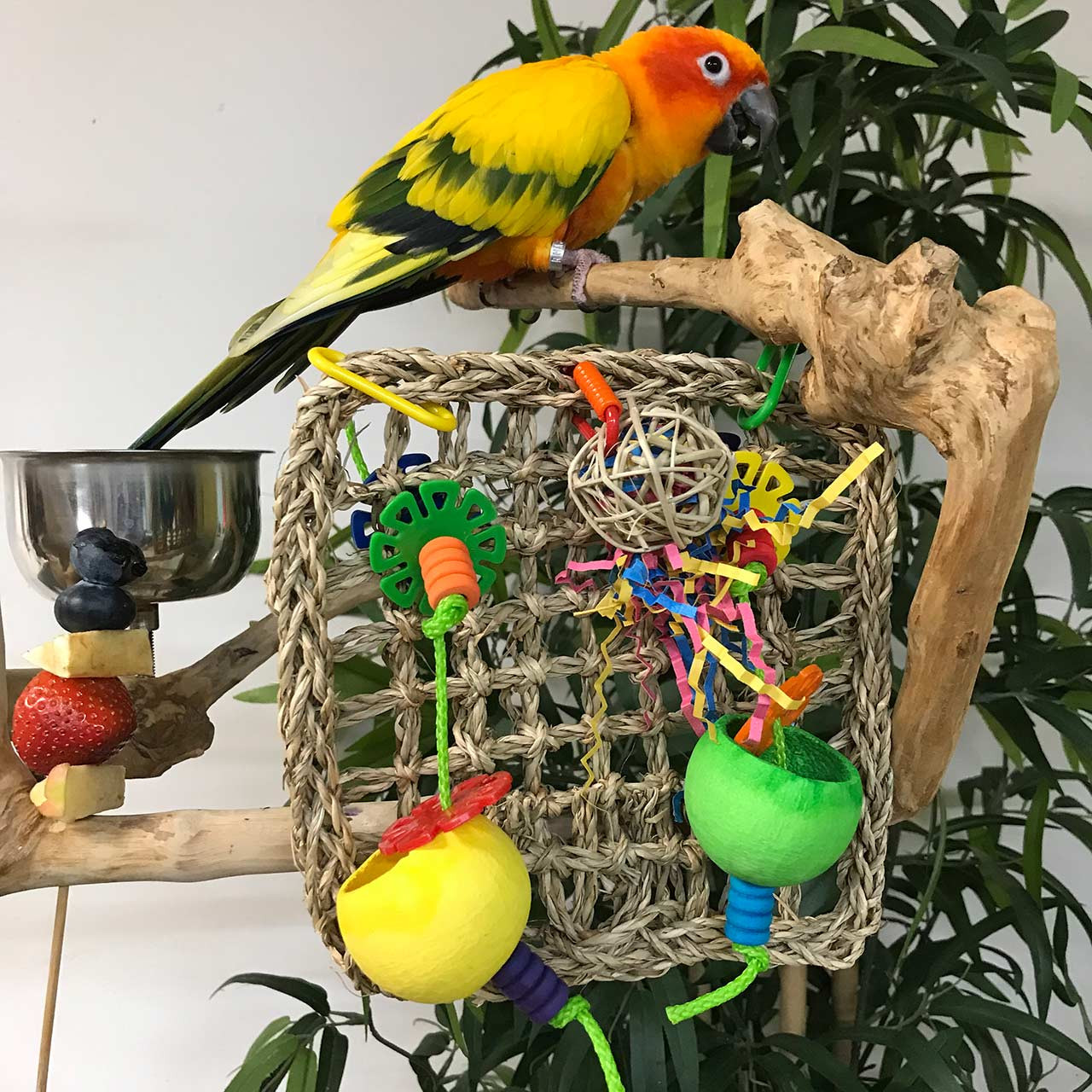 Wooden Guinea Pig Hay Feeder Cage Mount