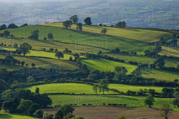 Rolling hills of Powys countryside