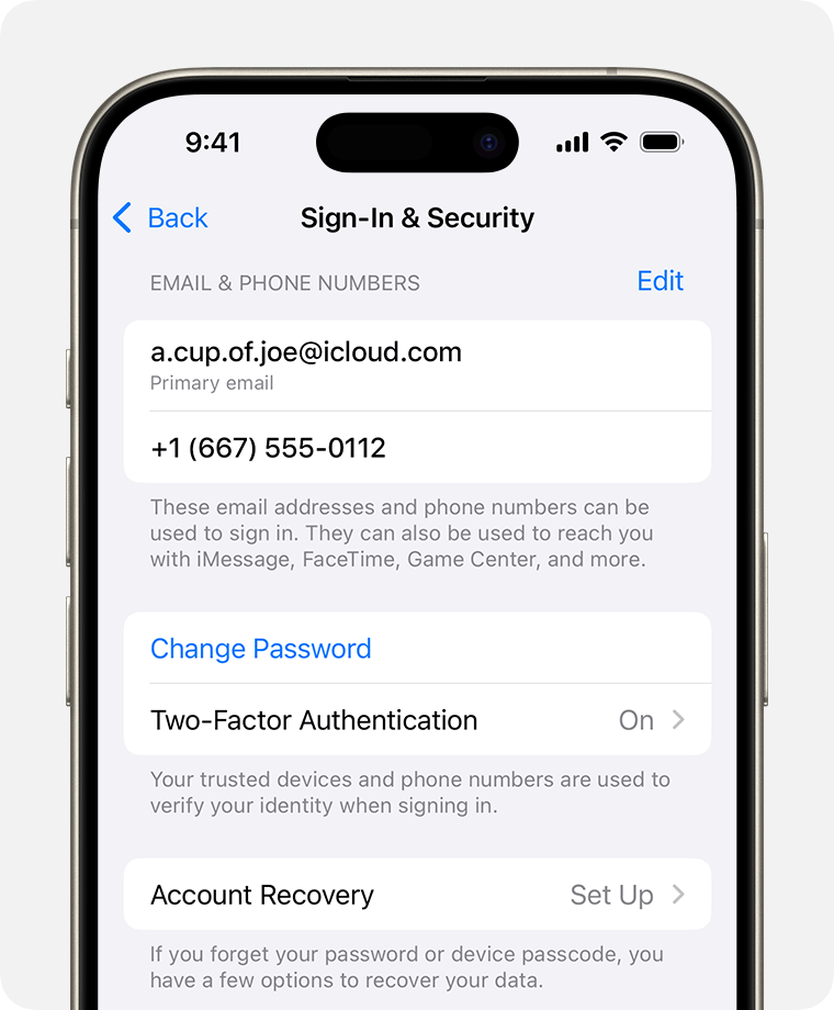 Apple账户登录与安全性设置界面