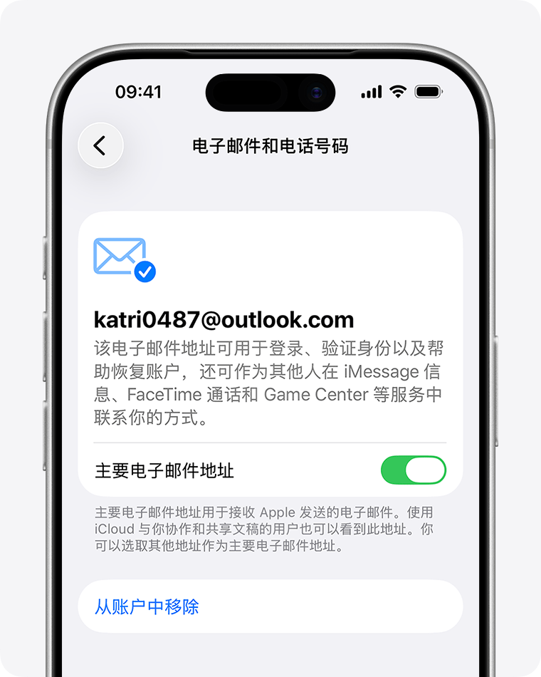iPhone电子邮件和电话号码设置页面截图
