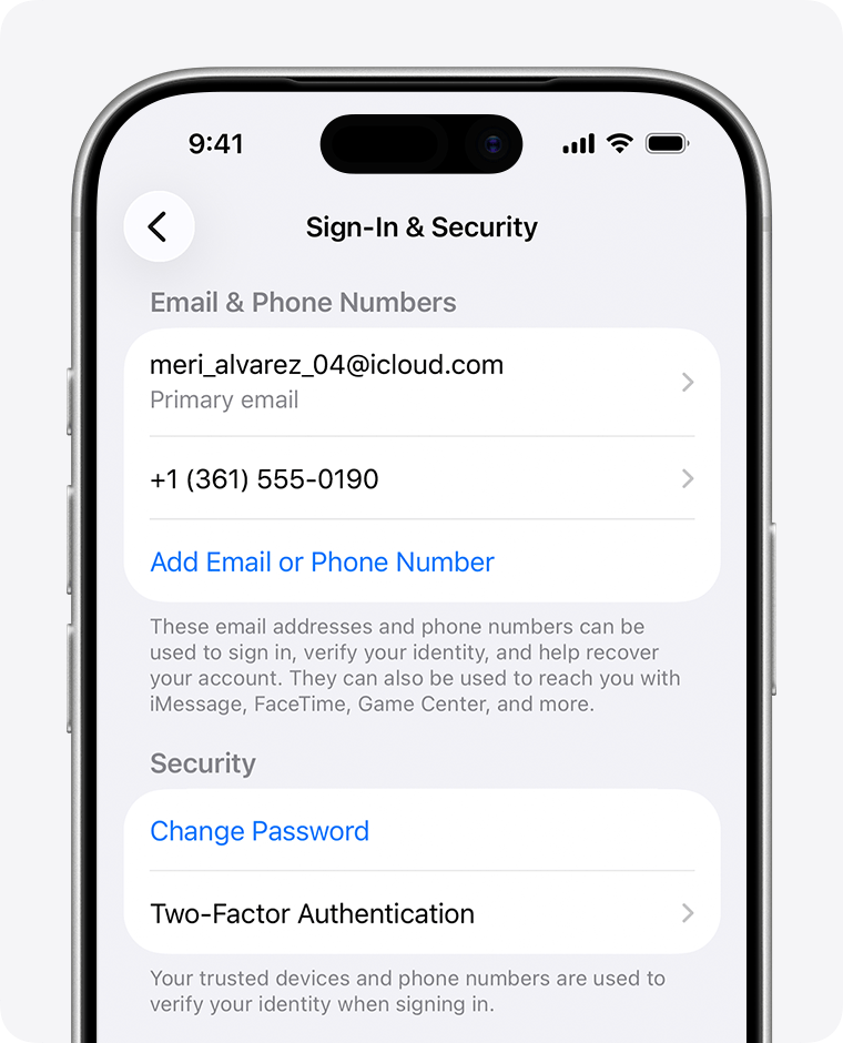 Apple账户登录安全性设置界面