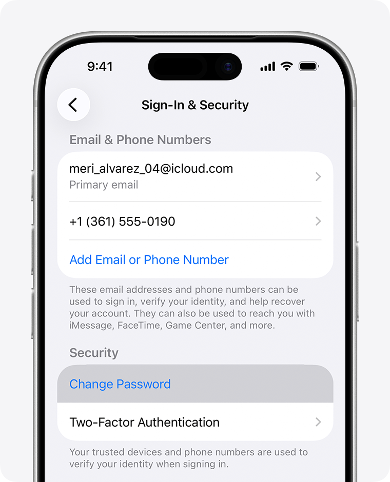 Apple ID 登录与安全页面显示更改密码选项