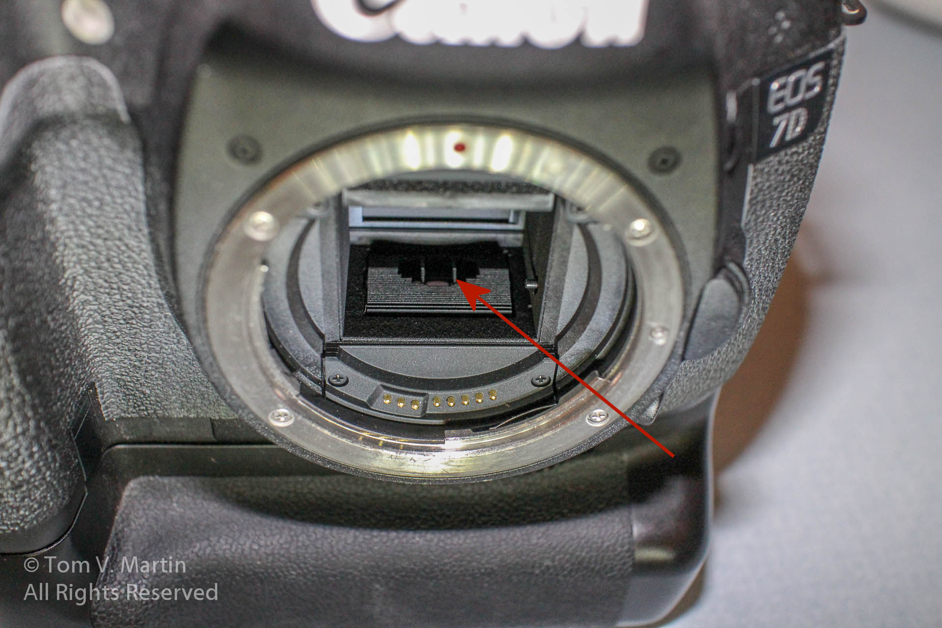 Solved: Auto focus stopped working - Canon Community