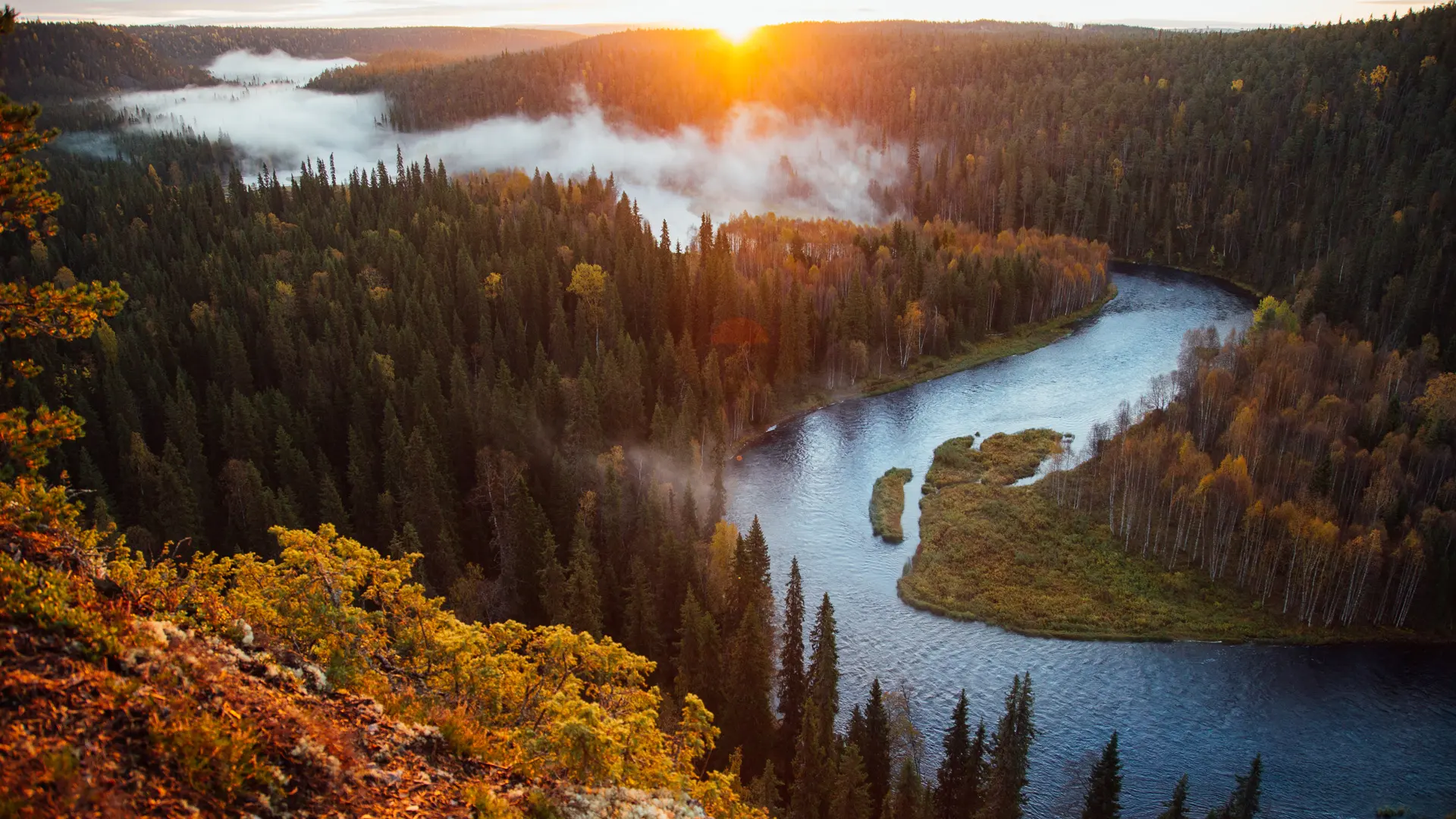 Paisagem de floresta finlandesa ao amanhecer com névoa e rio