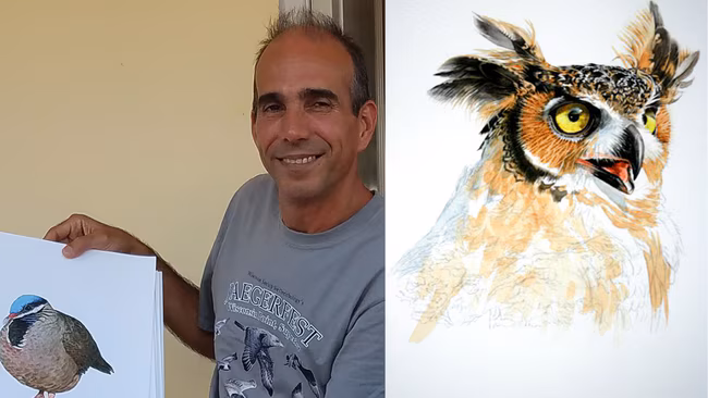 Nils Navarro ilustrando