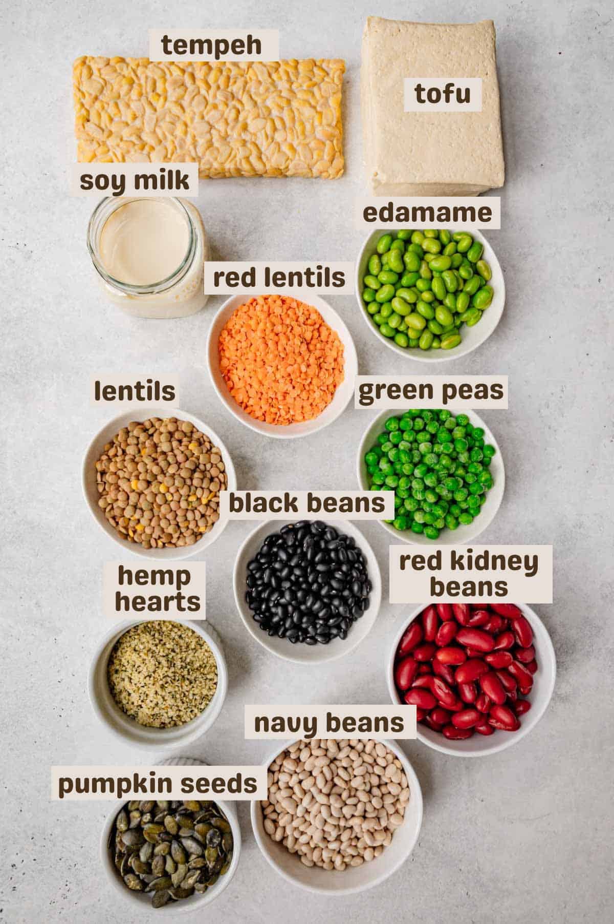 Variety of vegan protein sources including tempeh, tofu, soy milk, edamame, lentils, beans, and hemp hearts