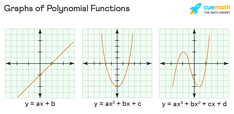 CBSE Class 10 Maths Notes Introduction to Polynomials - Polynomial Types Comparison