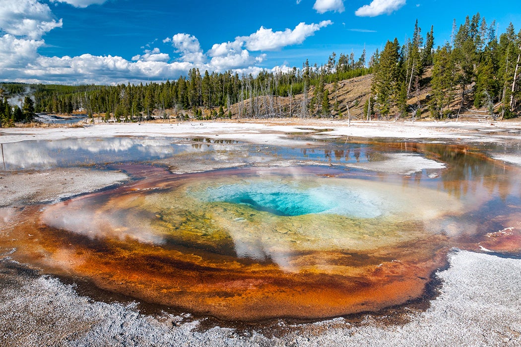 Fontes termais coloridas no Parque Nacional de Yellowstone com microorganismos extremófilos