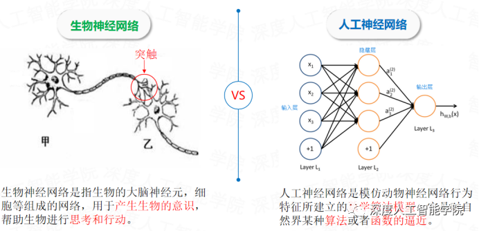 大脑神经活动与人工智能模型表征的对比示意图