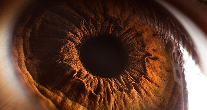 Detalhe macro do olho humano — janela para percepção