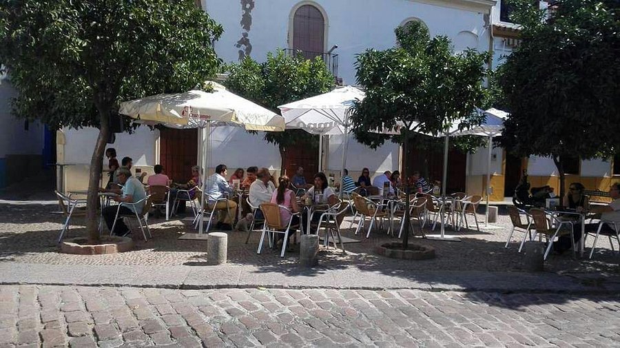 Terraza entre naranjos