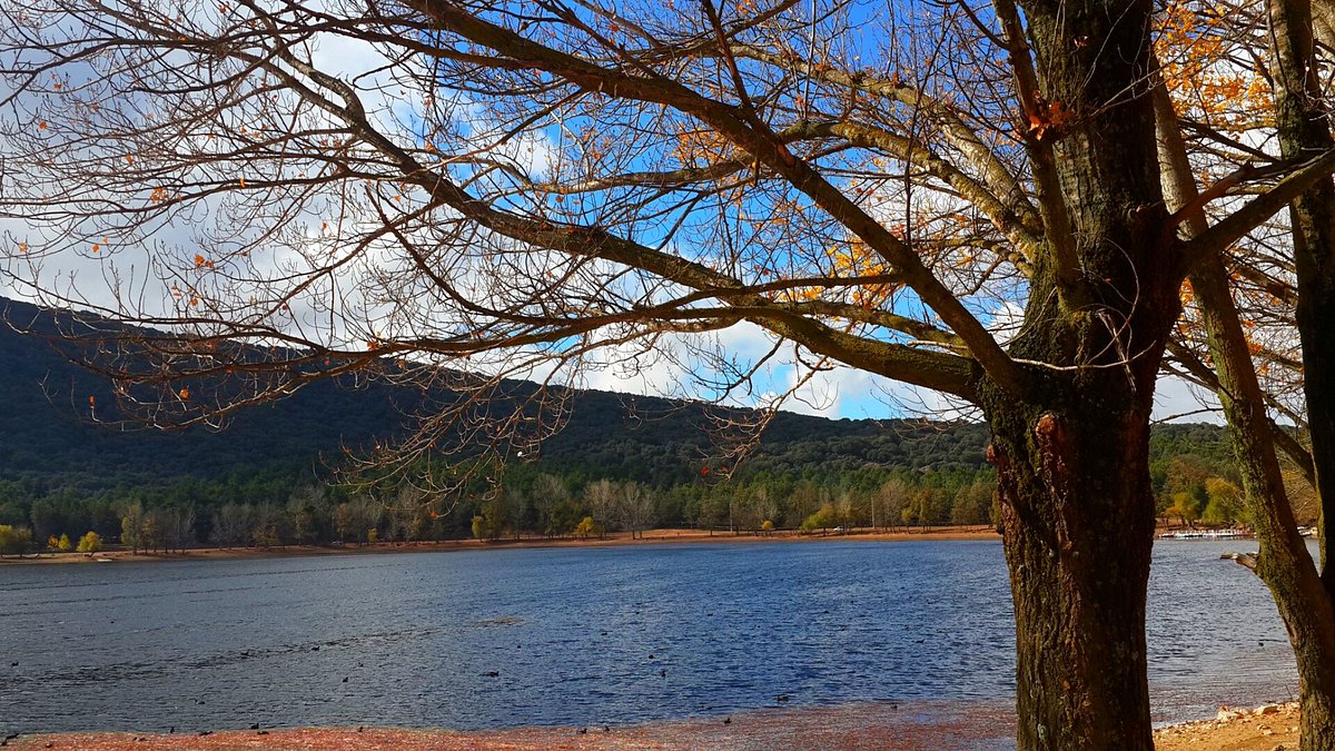 Lac Dayet Aoua à Ifrane entouré de forêt
