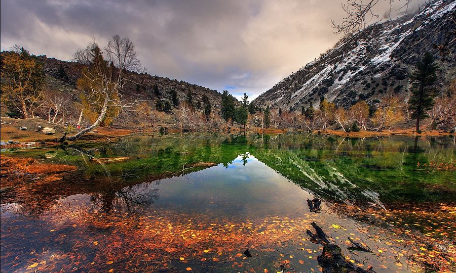 Naltar Valley Gilgit - Alpine Lake with Forests