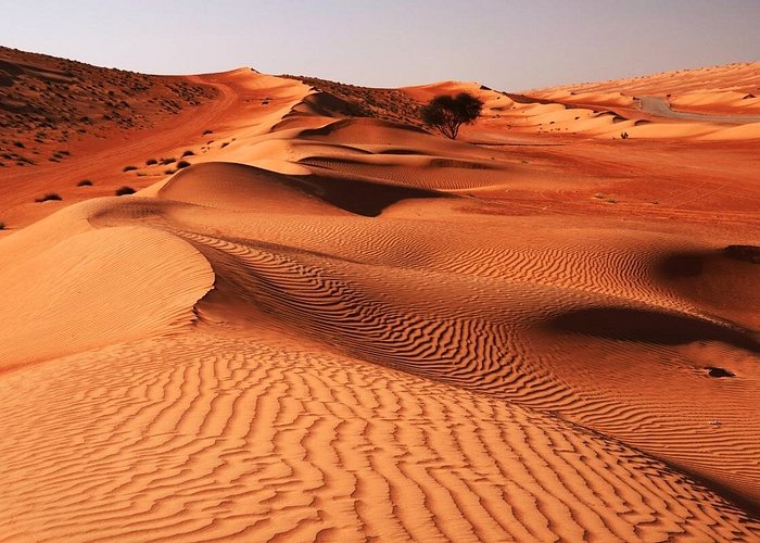Wahiba Sands Desert