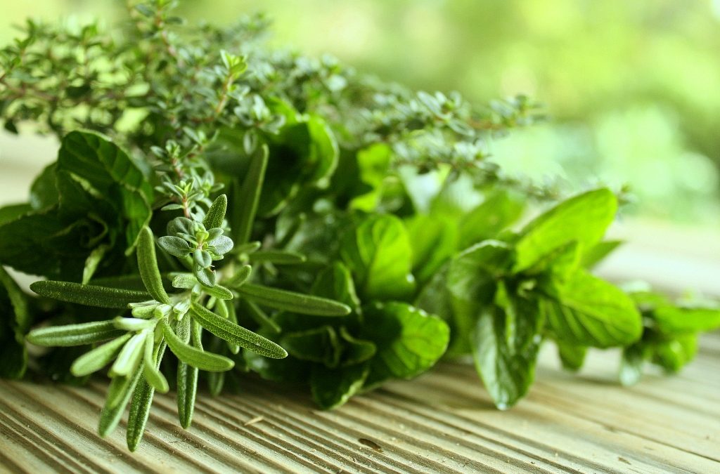 Peppermint Essential Oil