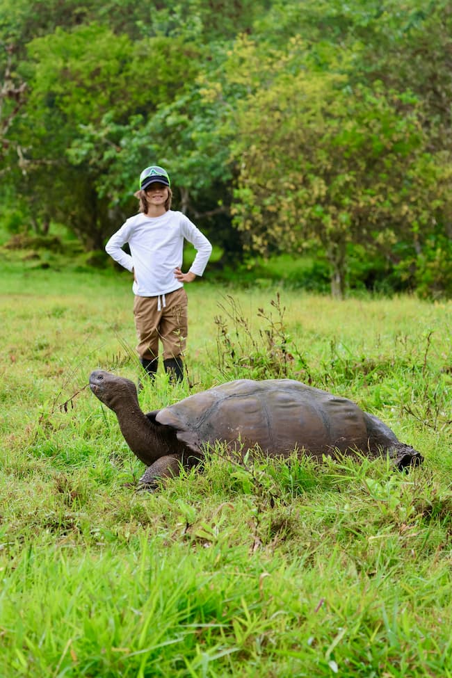 François Leguat Giant Tortoise Reserve