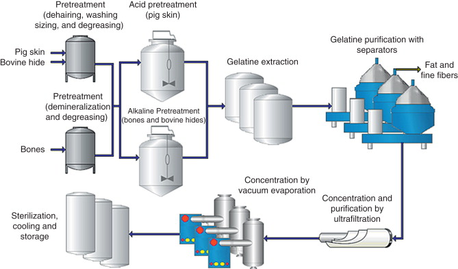 Detailed Gelatin Production Flowchart