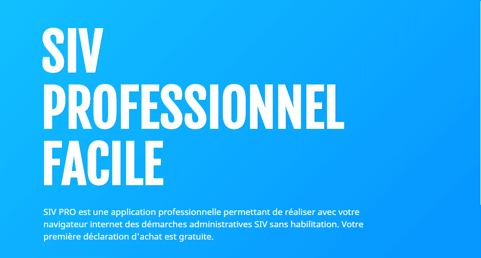 Service professionnel